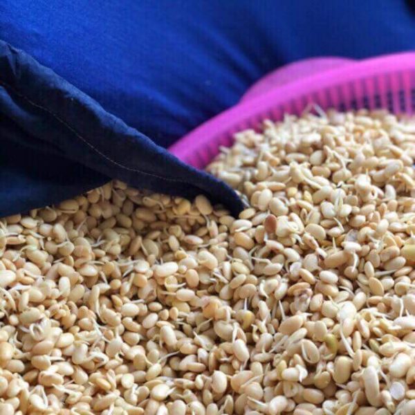 Cách làm bột mầm đậu nành, cách làm bột mầm đậu nành nguyên sơ, cách làm bột mầm đậu nành tăng vòng 1, cách làm mầm đậu nành giảm cân, cách làm bột mầm đậu xanh, cách làm mầm đậu nành nguyên xơ tại nhà, cách làm mầm đậu nành tăng vòng 1, cá cách làm bột mầm đậu nành tại nhà, cách làm bột mầm đậu nành khô, cách làm bột mầm đậu nành để uống, cách làm bột mầm đậu nành nguyên chất, cách làm bột mầm đậu nành chuẩn, ch sấy mầm đậu nành, cách làm mầm đậu nành uống tăng vòng 1, cách làm mầm đậu nành nguyên xơ tại nhà, cách làm bột mầm đậu nành nguyên xơ, cách làm bột đậu nành, cách chế biến mầm đậu nành,cách pha mầm đậu nành tăng vòng 1, mầm đậu nành tăng vòng 1 loại nào tốt, đã ai uống mầm đậu nành tăng vòng 1 chưa, cách sử dụng mầm đậu nành để tăng kích thước vòng 1, mầm đậu nành tăng vòng 1 webtretho, cách sử dụng viên mầm đậu nành tăng vòng 1, viên uống mầm đậu nành tăng vòng 1