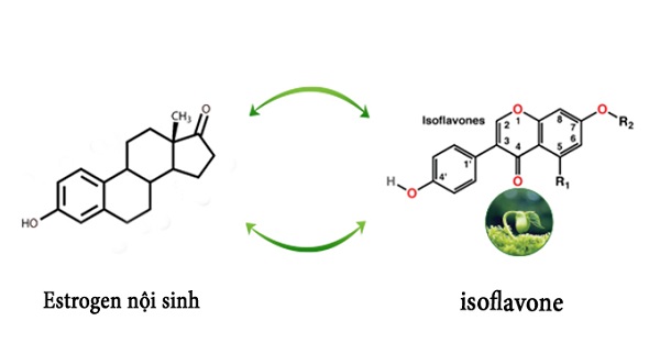 isoflavones, isoflavone là gì, isoflavone trong đậu nành, isoflavone có ở đâu, isoflavone là chất gì, tinh chất isoflavone, isoflavones có trong thực phẩm nào, isoflavone mầm đậu nành, isoflavone trong đậu nành có tác dụng gì, nano isoflavone, isoflavone review