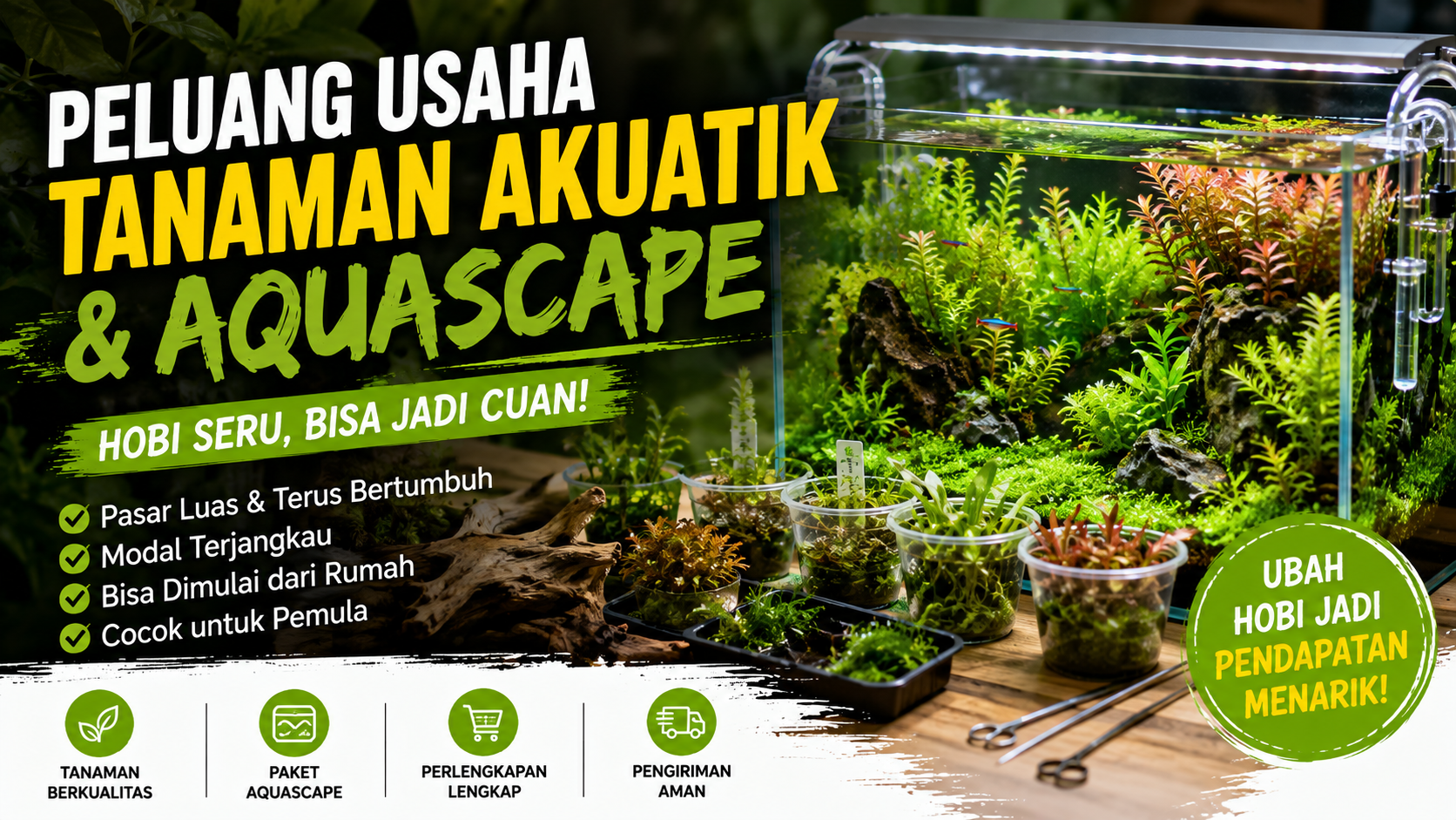 jual tanaman aquarium